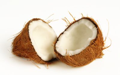 The Latest Report on Coconut Oil – Our Response (Again)