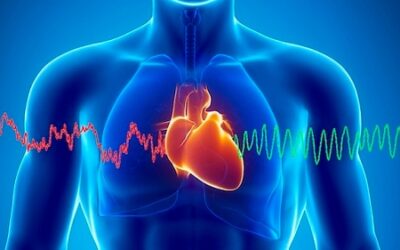 Learn About Your Heart Health with the Heart Sound Recorder (HSR)